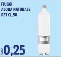 Big Food Acqua naturale Fiuggi offerta