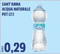 Big Food Acqua naturale Sant'Anna offerta