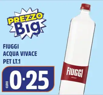 Big Food Fiuggi acqua vivace offerta