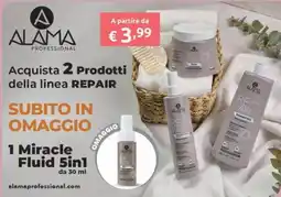 Smoll Alama Professional Repair offerta
