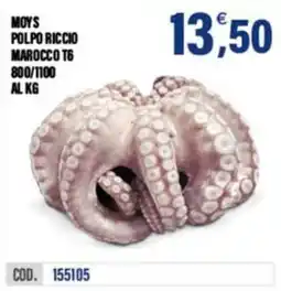 Adhoc Moys polpo riccio offerta