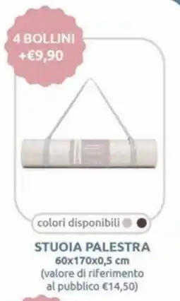 Smoll Stuoia palestra offerta