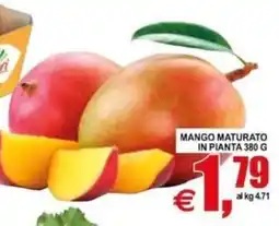 Pewex Mango maturato in pianta offerta