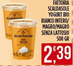 Supermercato Pollio Fattoria Scaldasole Yogurt Bio Bianco Intero offerta