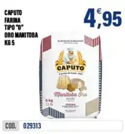 Adhoc Caputo farina tipo "0" oro manitoba offerta