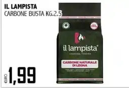 Big Food il lampista carbone naturale di legna offerta