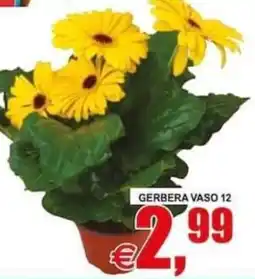 Pewex Gerbera vaso 12 offerta