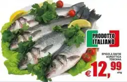 Pewex Spigola 300/700 Agroittica Toscana offerta