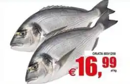 Pewex Orata offerta