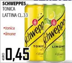 Big Food Schweppes tonica offerta