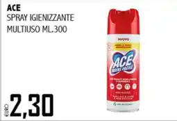 Big Food Spray igienizzante multiuso Ace offerta