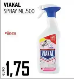 Big Food Spray Viakal offerta