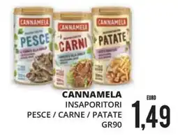 Mazzeo Supermercati Cannamela insaporitori pesce / carne / patate offerta