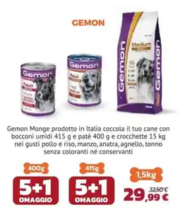 Joe Zampetti Gemon Monge offerta