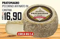 Big Food Pratomagno Pecorino Affinato in Cantina offerta