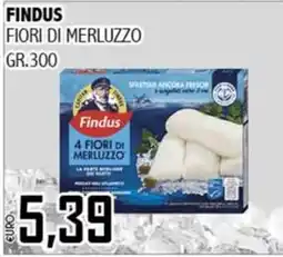 Big Food Findus 4 Fiori di Merluzzo offerta