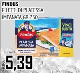 Big Food Findus filetti di platessa impanata offerta