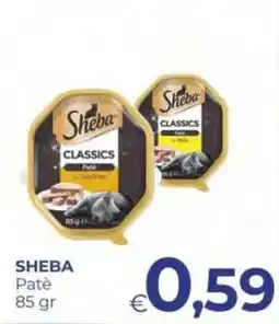 Pilato Sheba Patè offerta