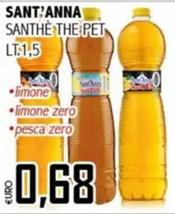 Big Food Sant'Anna Santhe the Pet offerta