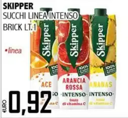 Big Food Skipper succhi linea intenso offerta