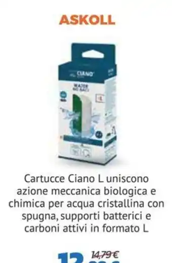 Cartucce Ciano L