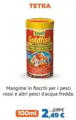 Joe Zampetti Tetra Goldfish offerta