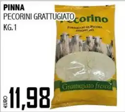 Big Food Pinna pecorini grattugiato offerta