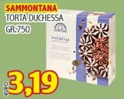 Big Food Torta Duchessa Sammontana offerta