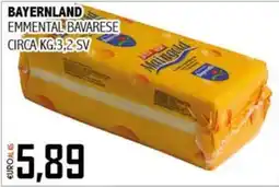 Big Food Bavarese Emmentale Bayernland offerta