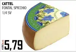 Big Food Cattel Fontal Spicchio offerta