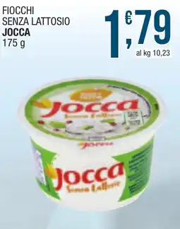 Maxi Sidis Fiocchi senza lattosio Jocca offerta