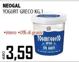 Big Food Neogal Yogurt Greco offerta