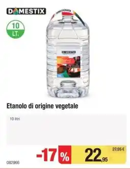 Handy fai da te Etanolo di origine vegetale Domestix offerta