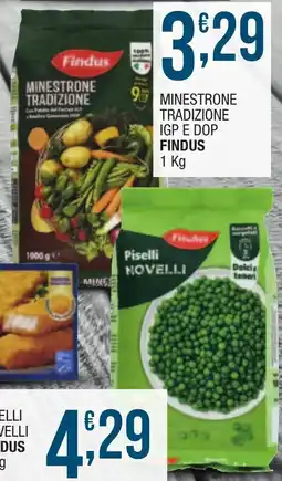 Maxi Sidis Minestrone tradizione IGP e DOP Findus offerta