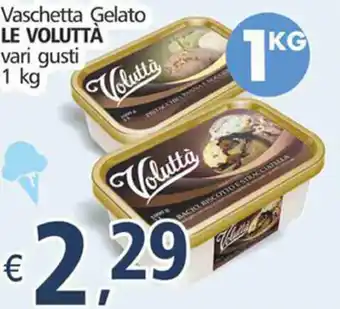 Alter Discount Vaschetta Gelato Le Voluttà 1 Kg offerta