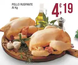 Maxi Sidis Pollo ruspante offerta