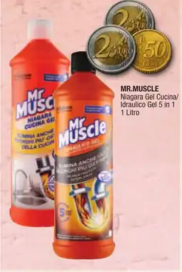 Maxi Sidis Mr Muscle Niagara Gel Cucina/Idraulico Gel 5 in 1 offerta