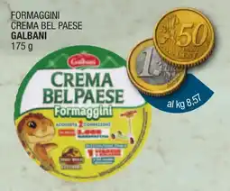 Maxi Sidis Formaggini Crema Bel Paese Galbani offerta