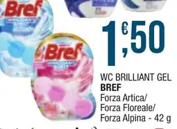 Maxi Sidis WC BRILLIANT GEL BREF offerta