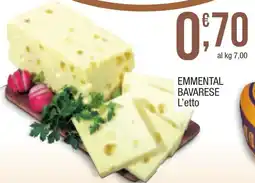 Maxi Sidis Emmentale bavarese offerta