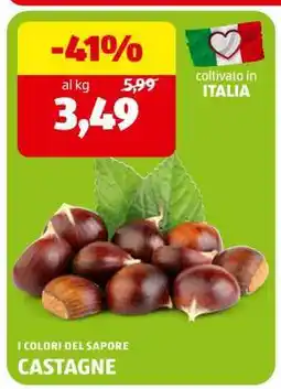 ALDI Castagne offerta