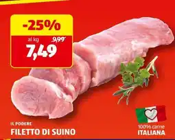 ALDI FILETTO DI SUINO offerta