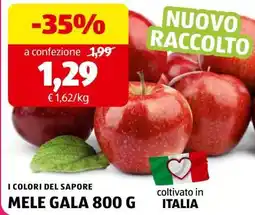 ALDI MELE GALA 800 G offerta