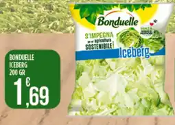 Netto Supermercati Bonduelle Iceberg offerta