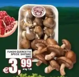 Pewex Funghi Quercetto specie shiitake offerta