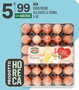 Tutto Risparmio Cash&Carry AIA Uova Medie Allevate a Terra offerta