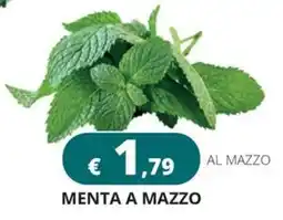 Altasfera Menta a mazzo offerta