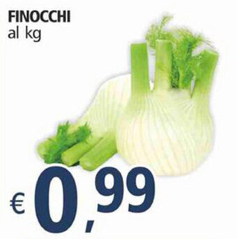 Alter Discount Finocchi offerta