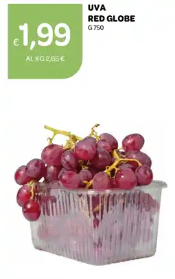 Ekom Uva Red Globe offerta