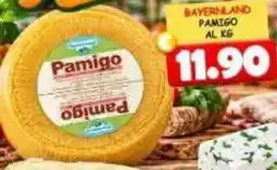 MercADone Bayernland pamigo offerta